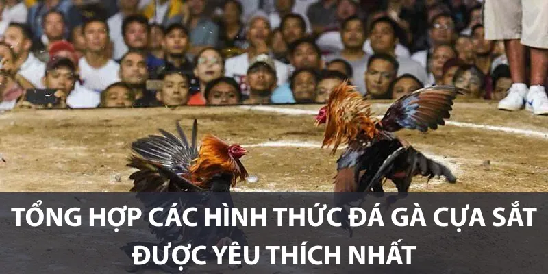 Tổng hợp các hình thức đá gà cựa sắt được yêu thích nhất